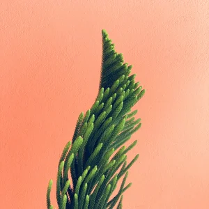 Example indie playlist